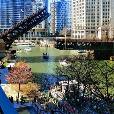 Chicago City Tour with Architecture River Cruise Option