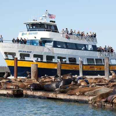 San Francisco Bay Cruise