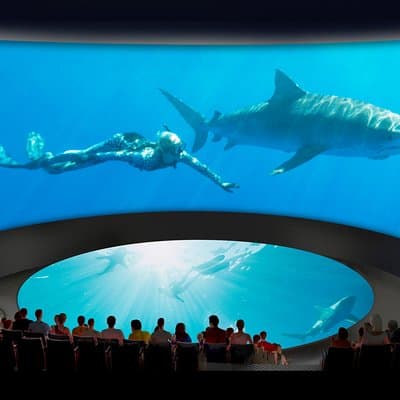 Skip the Ticketing Line: Aquarium of the Pacific General Admission Ticket