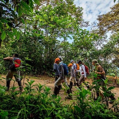 Private Mindo Cloud Forest Tour from Quito