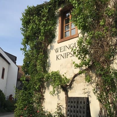 Discover Germanies best Red wines & dry Riesling in the Pfalz