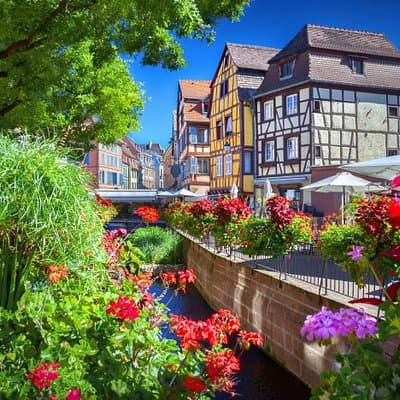 Colmar, Medieval Village & Castle Small Group from Strasbourg
