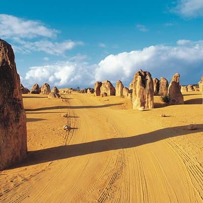 Pinnacles Desert, Koalas and Sandboarding 4WD Day Tour from Perth
