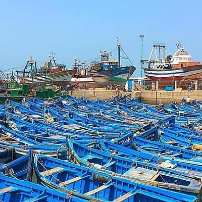From Marrakech To Essaouira Mogador Full Day Trip | Small-group