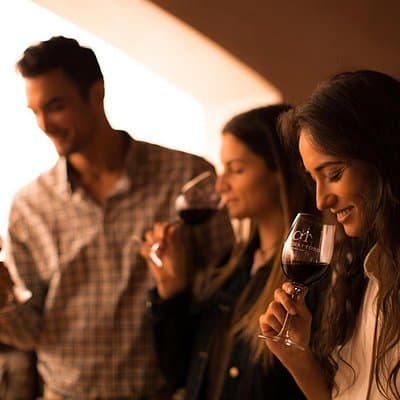 Small-Group Half Day Tour to Concha y Toro Winery