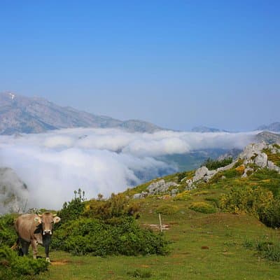 Full Day Private 4WD Tour from Bilbao to Picos de Europa. Fine meals.
