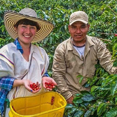 Cali: Coffee Tour - Discover the secrets of 100% Colombian coffee