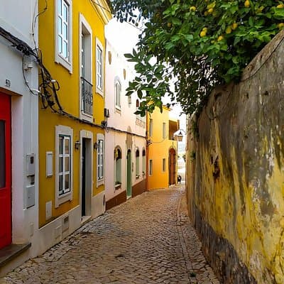 Small-Group Day Tour of Silves and Monchique with Wine Tasting