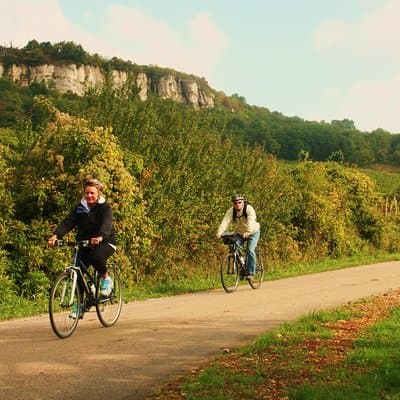 Burgundy Bike Tour with Wine Tasting from Beaune