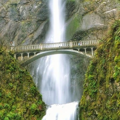 Multnomah Falls and Columbia River Gorge Half-Day Hiking Tour