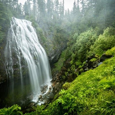 Mt. Rainier National Park Highlights Tour
