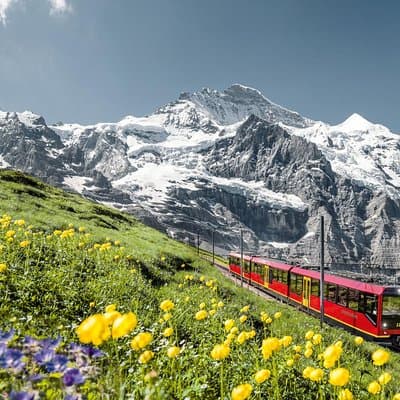 Jungfraujoch: escapada de un día a la cumbre de Europa desde Zúrich