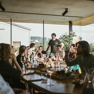 Wine Tasting with Pairing Snacks in Vipava Valley