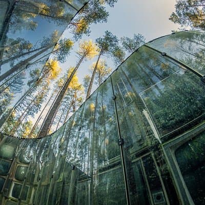 Skip the Line: Europos Parkas, Open-Air Museum Ticket Vilnius, Lithuania