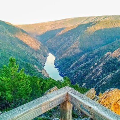 Ribeira Sacra, "Heroic Wines" Private Tour from Santiago/Vigo