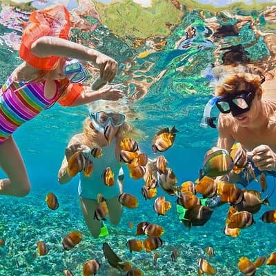 Oahu Circle Island Snorkeling Tour: Dole, Pali Lookout & More