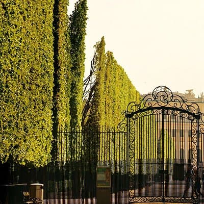 Schönbrunn Palace and Gardens Tour