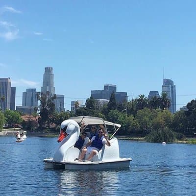 Swan Boat Rental in Echo Park