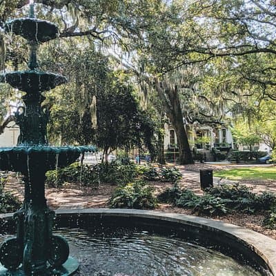 Savannah Historic District & Islands Private Guided Tour
