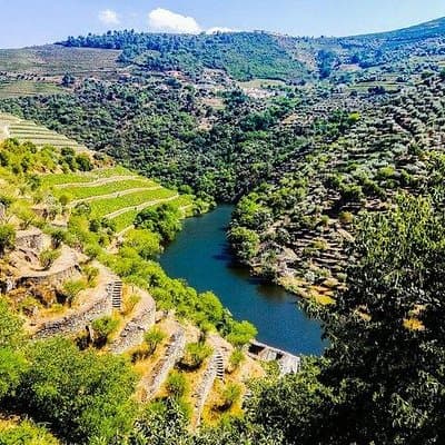 Best of Douro Valley Wine Full Day Private Tour