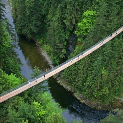 Post-Cruise: Vancouver Tour with Lookout and Capilano Bridge