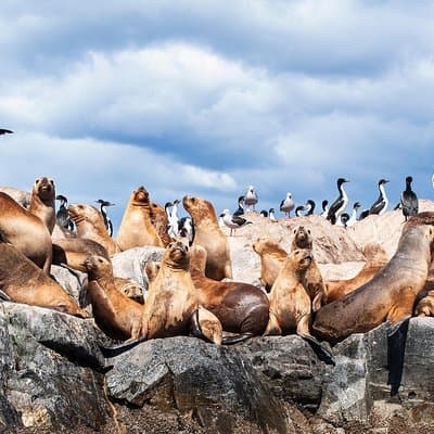 Navigation sur le canal Beagle avec Minitrekking