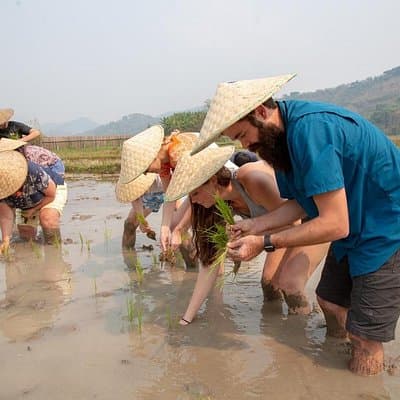 Living Land Rice Farming Experience
