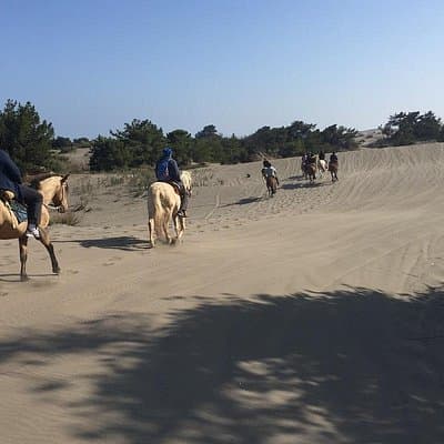 Horseback Riding & BBQ Ritoque Beach & Sand Dunes From VALPARAISO