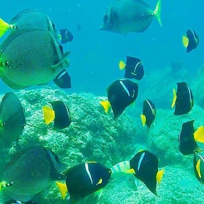 Visit paradisiac Islands in La Paz