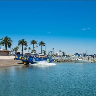 San Diego Seal Tour