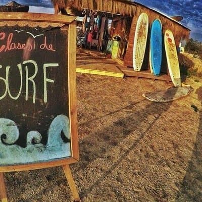 Surfing, Sandboarding & wild Sea lions + Chilean drinks & food