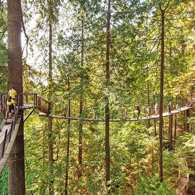 Vancouver, Capilano Suspension & Grouse Mountain Private Tour