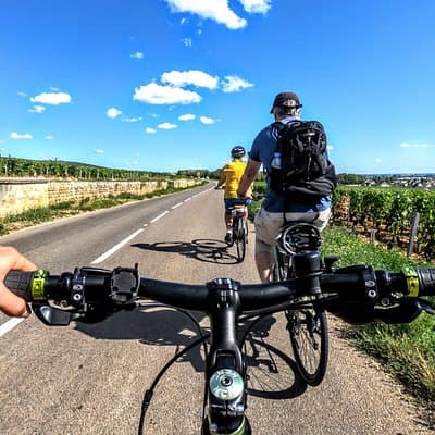 Discovery by bike & Tasting in the vineyards