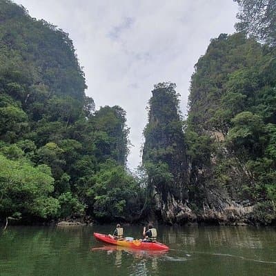 Deep Mangrove and Canyon Kayak Tour in Krabi