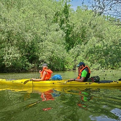 Belgrade War Island Kayak Tour