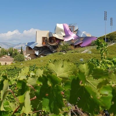 La Rioja wines and Laguardia tour from Pamplona