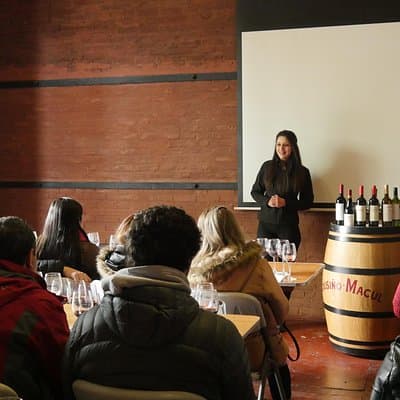 "Premium Wine Tour" Viña Cousiño Macul Official english