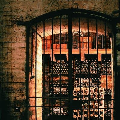 Premium Wine Tour in Viña Cousiño Macul Spanish official