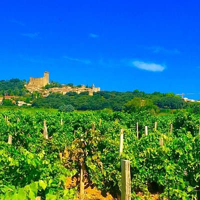 Provence Cru Wine Small-Group Half-Day Tour from Avignon