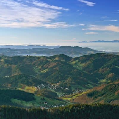 Black Forest Day Tour