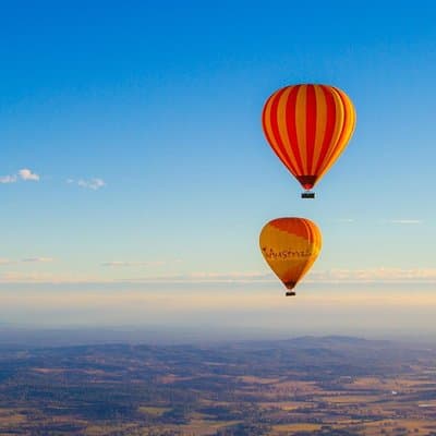 Gold Coast Hot Air Balloon + Winery Breakfast + Alpaca Experience