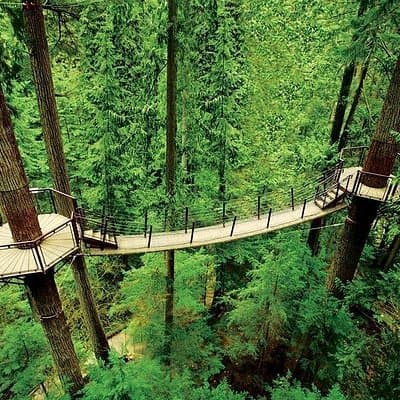 Vancouver: Capilano Suspension Bridge & Grouse Mountain Tour