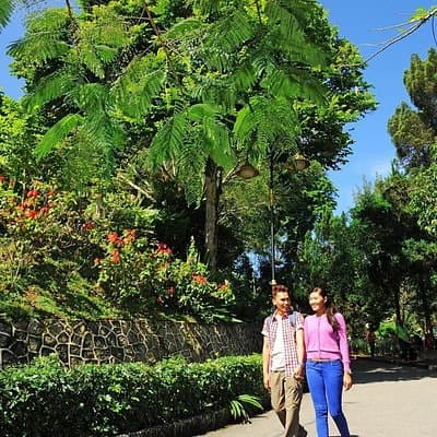 Half Day Penang Guided Trip With Kek Lok Si Temple