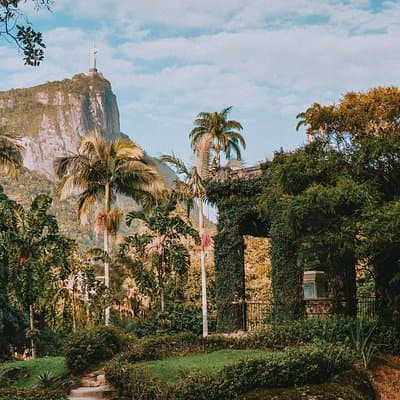 Rio de Janeiro Botanical Garden & Tijuca Forest Tour
