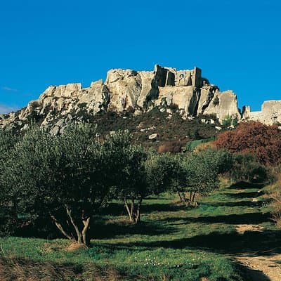 Full Day Best of Provence Tour from Avignon