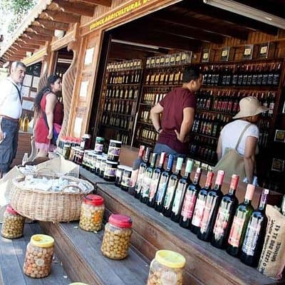 Shore Excursion Sirince Village & Ephesus Low Cost