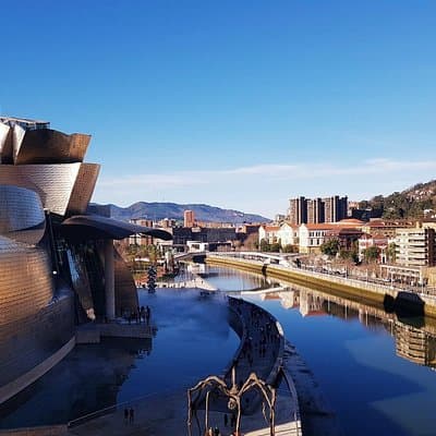 Guided tour in Spanish of the Guggenheim Museum Bilbao