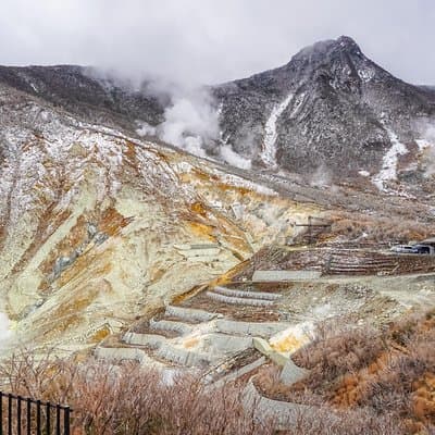 Private Tour - Hakone Day Trip! A Tour to Explore All Must-Sees!