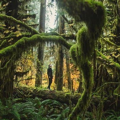 Best of Olympic National Park from Seattle: All-Inclusive Small-Group Day Tour
