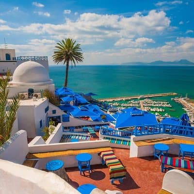 Bardo Museum- The ruins of Carthage- Village of Sidi Bou Said